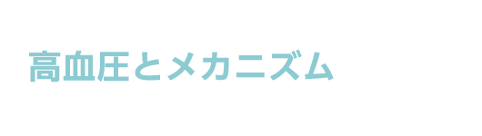 高血圧とメカニズム